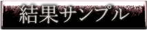 結果サンプル