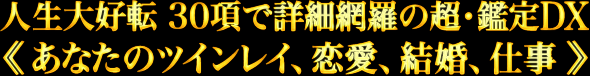 人生大好転 30項目で詳細網羅の超・鑑定DX《あなたのツインレイ、恋愛、結婚、仕事》